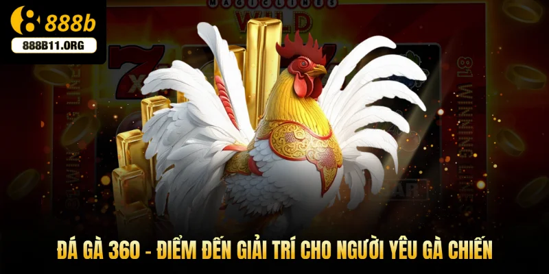 Đá gà 360