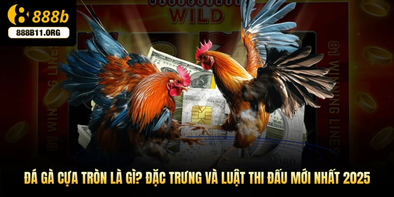 Đá gà cựa tròn