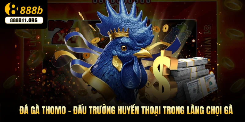 đá gà Thomo