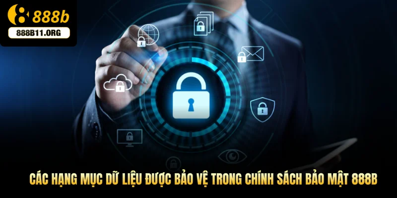 Các hạng mục dữ liệu được bảo vệ trong chính sách bảo mật 888b