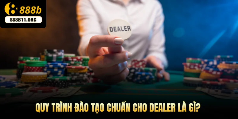 Quy trình đào tạo chuẩn cho dealer là gì?