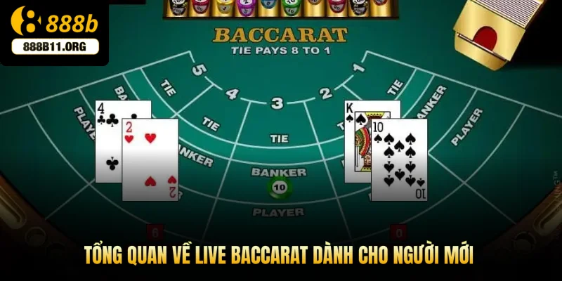 Tổng quan về live baccarat dành cho người mới
